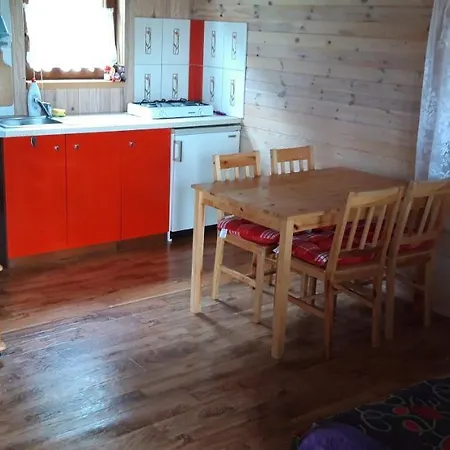 Bursztynowe ロッジ *